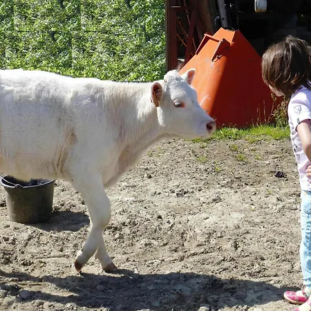 On A Beautiful Medieval Estate * Saint-Lo-d'Ourville