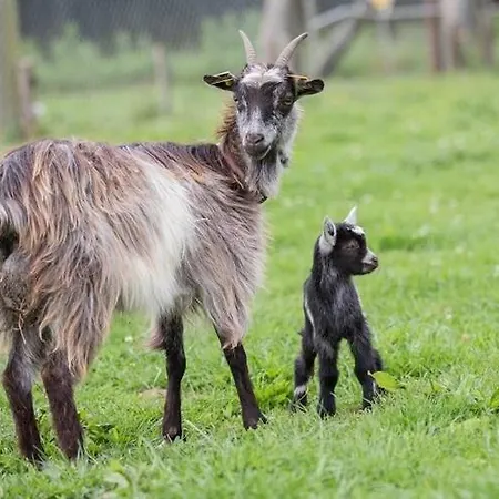 On A Beautiful Medieval Estate *