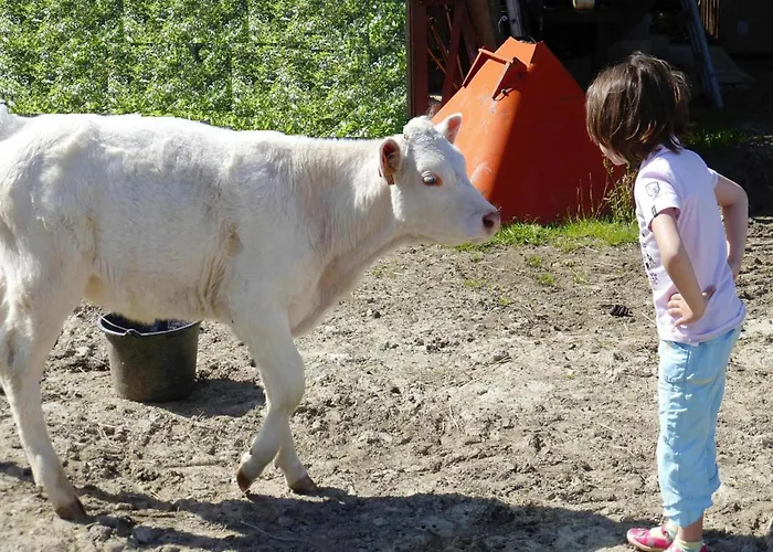 On A Beautiful Medieval Estate * Saint-Lo-d'Ourville